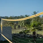 Paolija No 3 * Bužinija